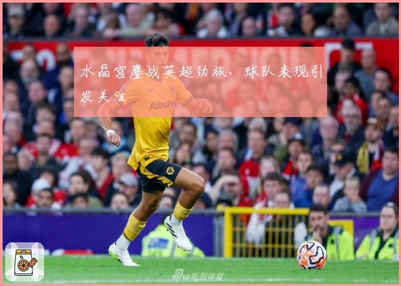 水晶宫鏖战英超劲旅，球队表现引发关注