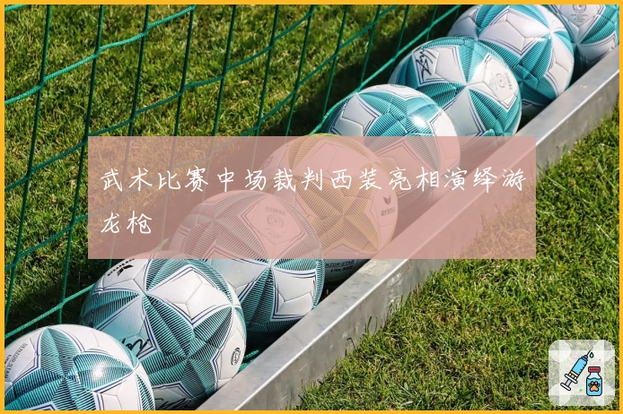武术比赛中场裁判西装亮相演绎游龙枪